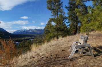 Bench
