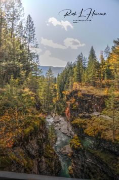 Bull River 1