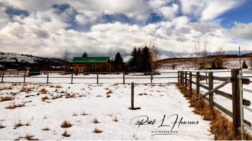 Cabin 1