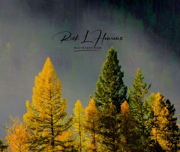 Fall Trees