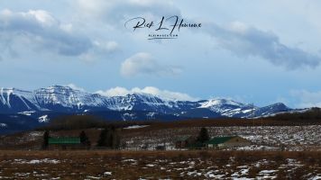 Homestead & Rockies