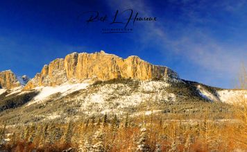 Ridgeline
