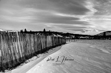 Snow Fence