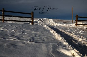 The Path