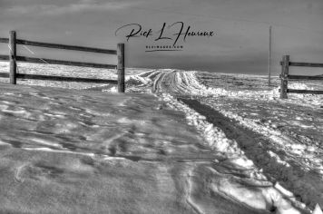 The Path B&W